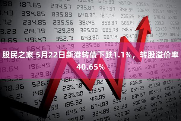 股民之家 5月22日新港转债下跌1.1%，转股溢价率40.65%