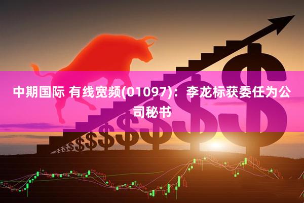 中期国际 有线宽频(01097)：李龙标获委任为公司秘书